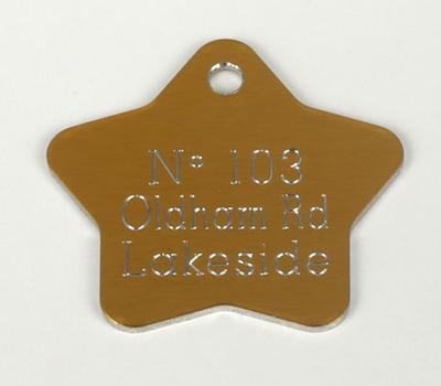 image of Pet Tag - Star