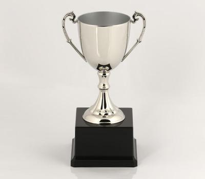 image of Nickle Plated Cup
