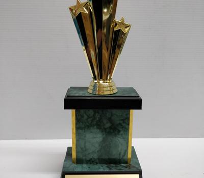 image of Capped Trophy 12cm