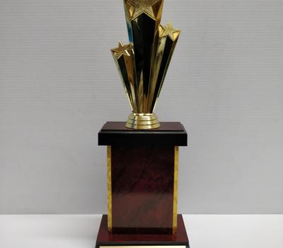 image of Capped Trophy 14.5cm