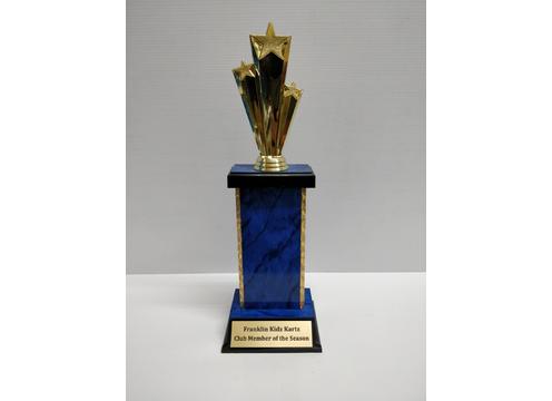 product image for Capped Trophy 19.5cm