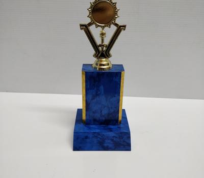 image of Column Trophy 7cm