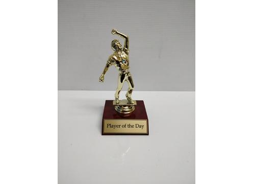 gallery image of Mini Trophy