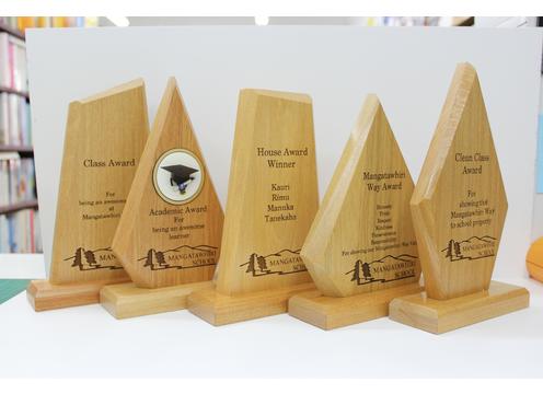 gallery image of Wooden Trophy