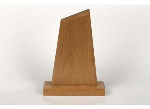 product image for Wooden Trophy - Angled Top