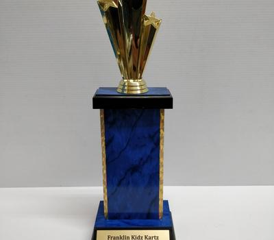 image of Capped Trophy 19.5cm