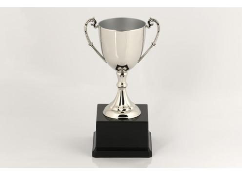 product image for Nickle Plated Cup