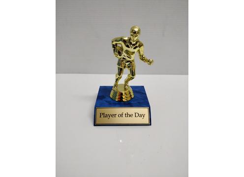 gallery image of Mini Trophy